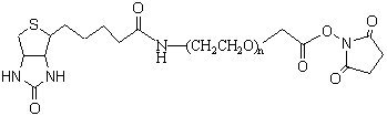 Biotin-PEG-SCM, 3.4 k (5g)