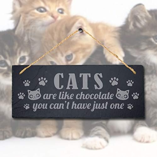 A Macskák, Mint A Csokoládé, Nem Lehet Lézer Gravírozott Lóg Lappal Pet Emléktábla Alá